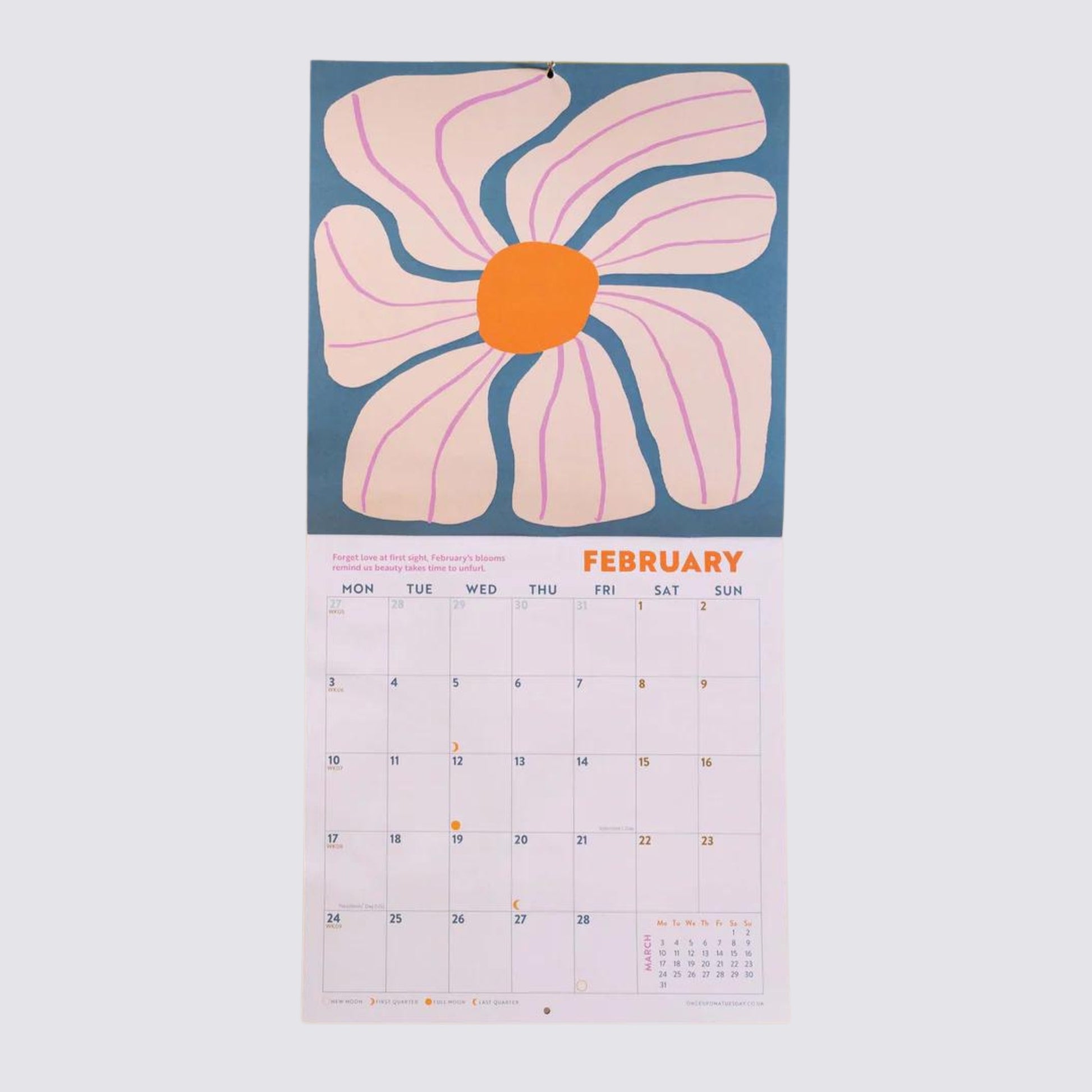 illustrated 2025 square size wall calendar