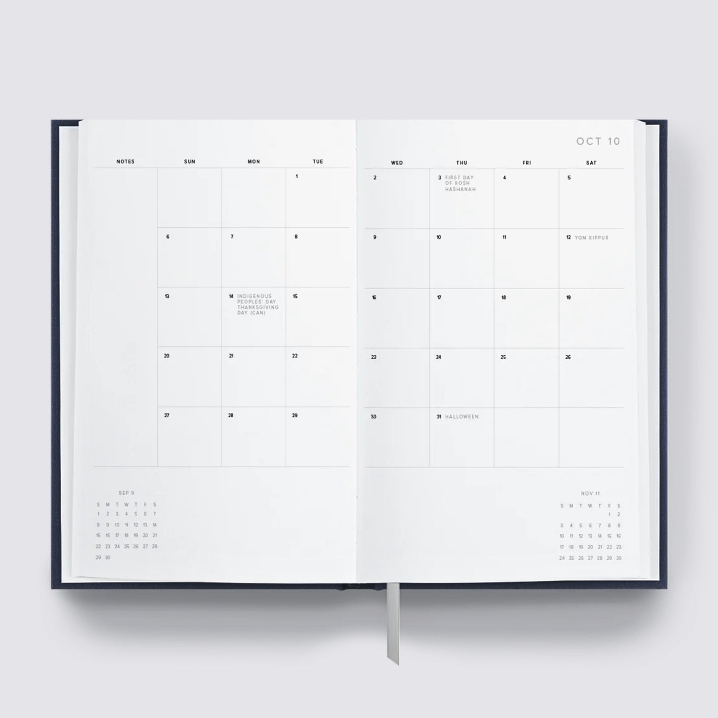 2025 Daily Planner with monthly overview