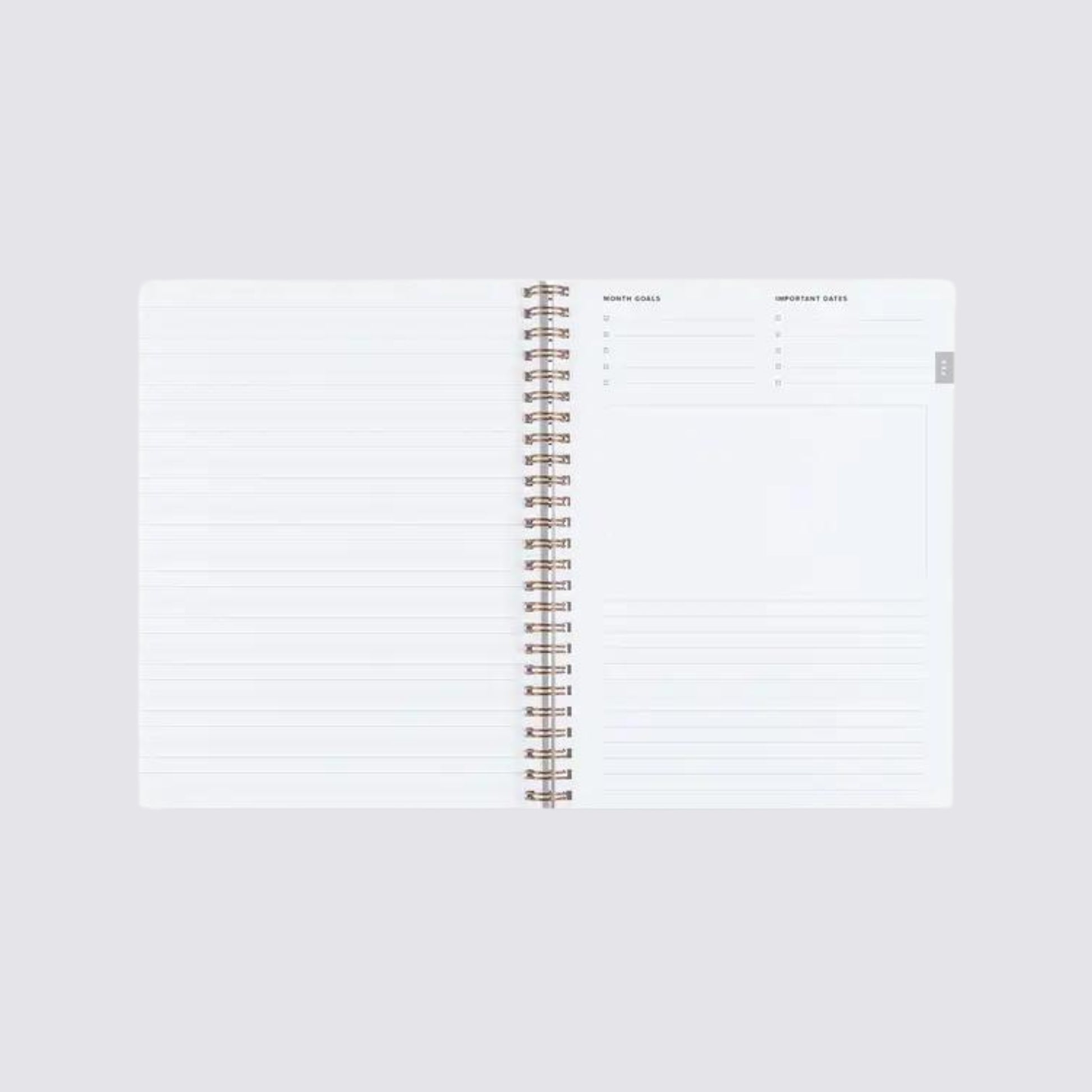 2025 Compact Task Planner - Fern Green