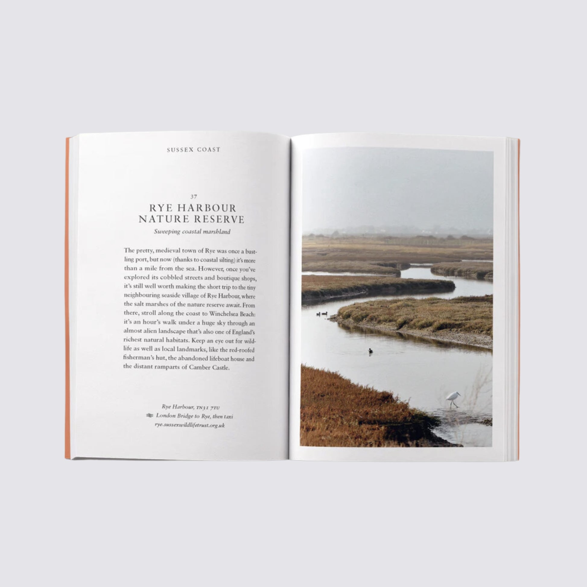 Page About Rye Harbour Nature Reserve