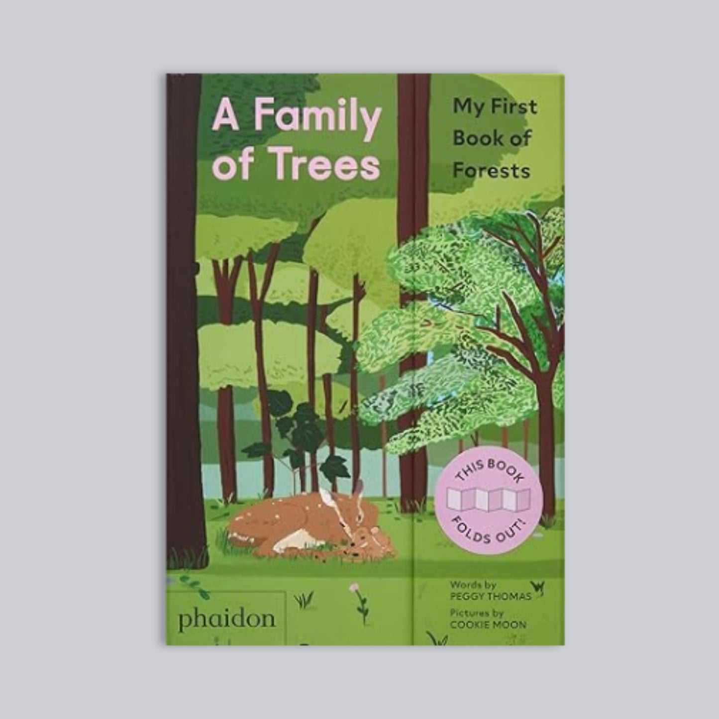 Kids Book on Forests 