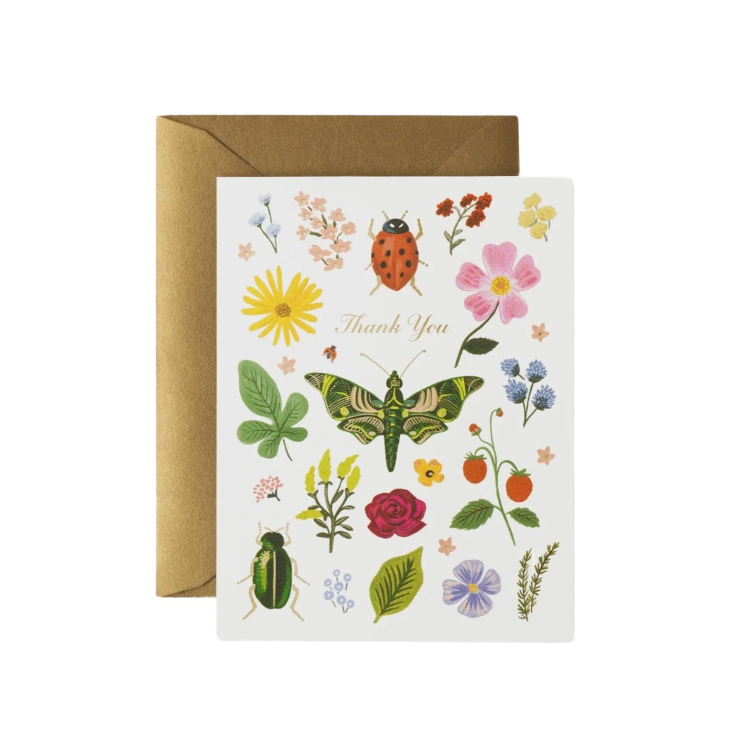 Thank you Card with bugs