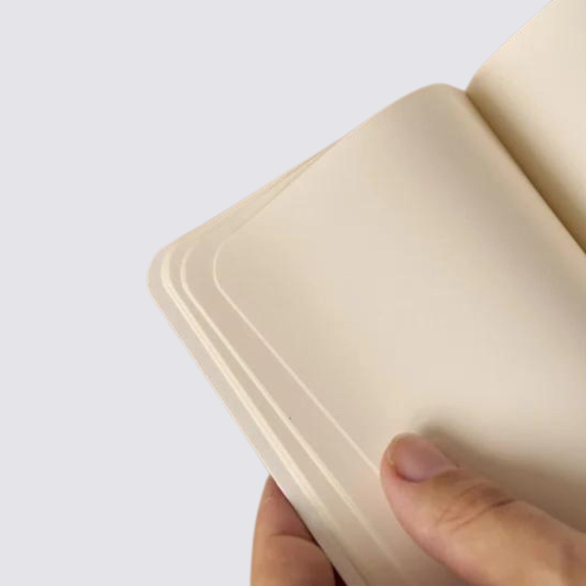 plain pages mini notebook 