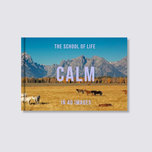 guide book to feeling calm