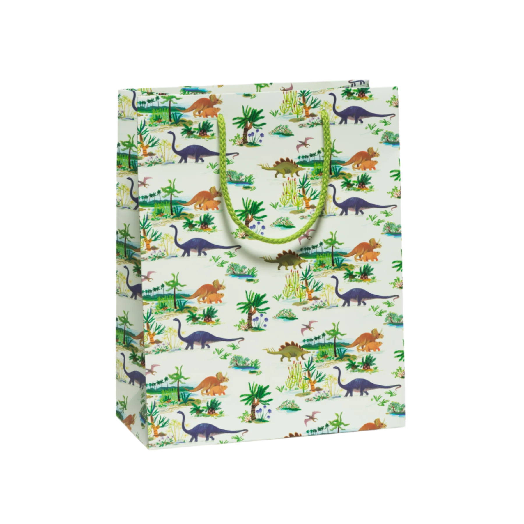 Dinosaurs Gift Bag - Large – Papersmiths